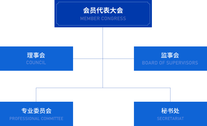 富文本內(nèi)容